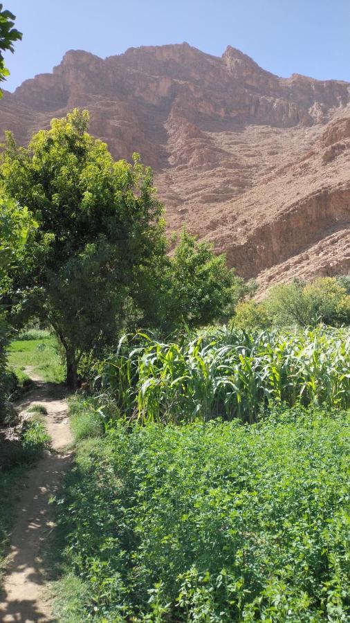 Riad Dar Ahlam Aït Baha Eksteriør bilde